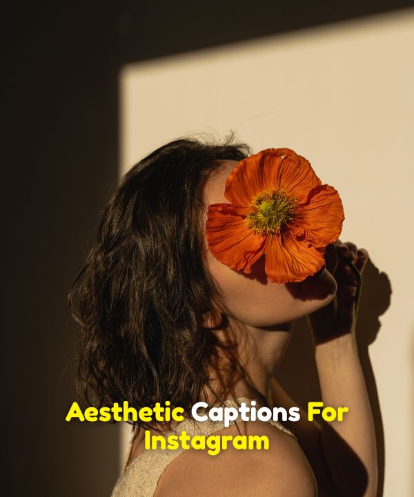 Aesthetic Captions For Instagram