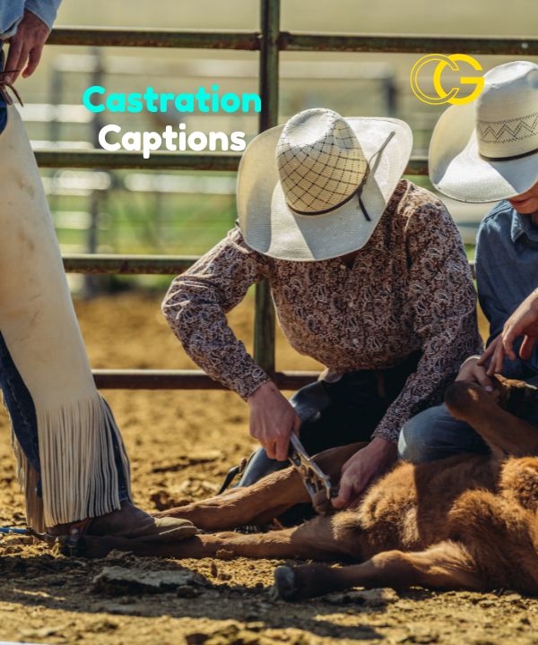 Castration Captions