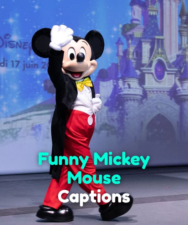 Funny Mickey Mouse Captions