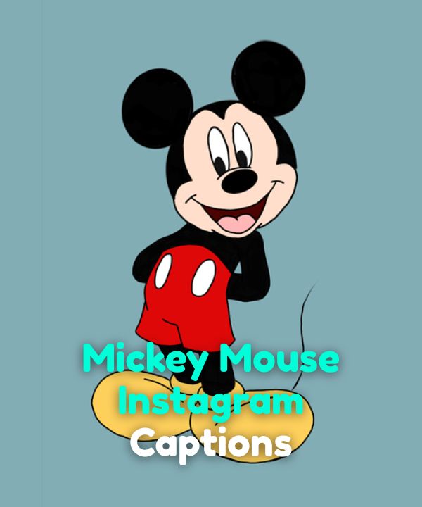 Mickey Mouse Instagram Captions