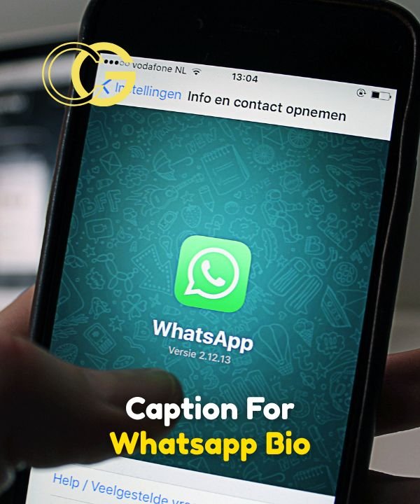 Caption For Whatsapp Bio