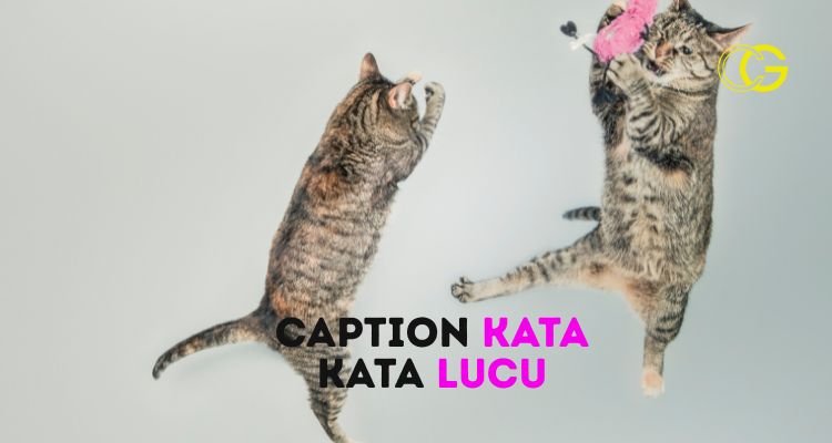 Caption Kata Kata Lucu
