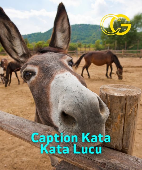 Caption Kata Kata Lucu