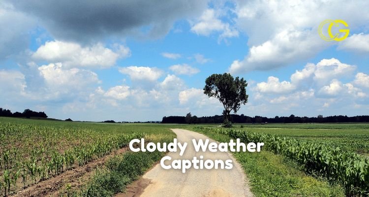 Cloudy Weather Captions