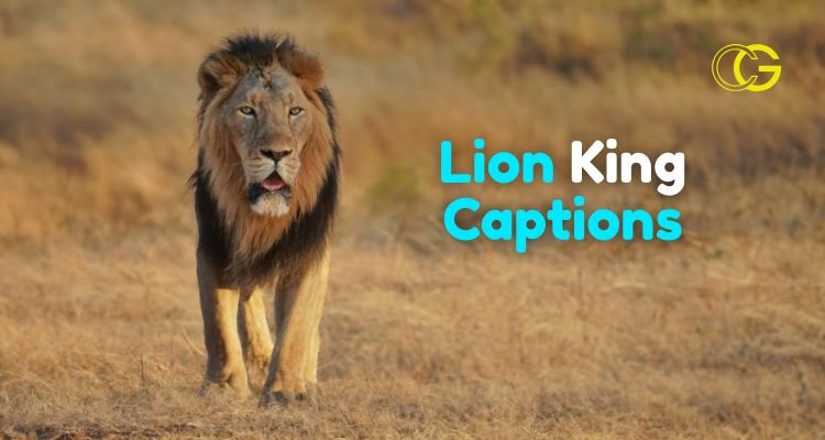 Lion King Captions For Instagram Lion King Captions