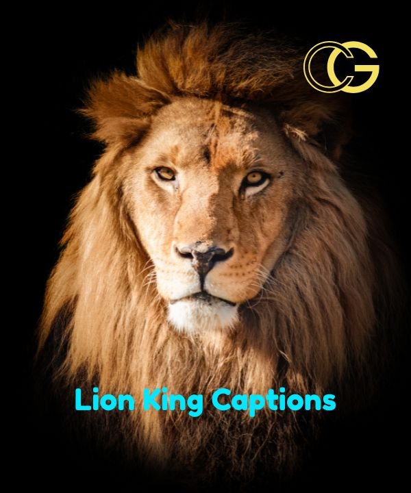Lion King Captions