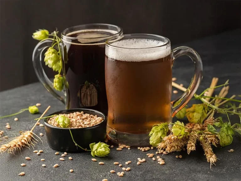 cervezas artesanales