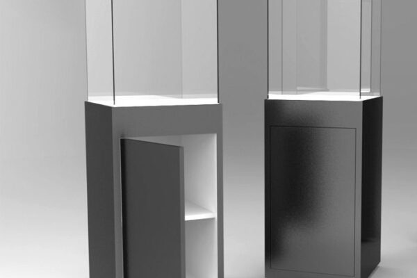 Jewelry Display Case